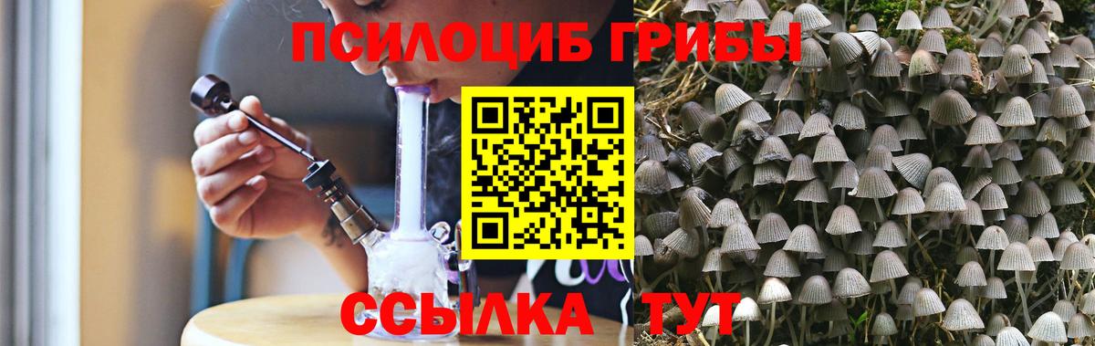 Псилоцибиновые грибы прущие грибы Дмитров