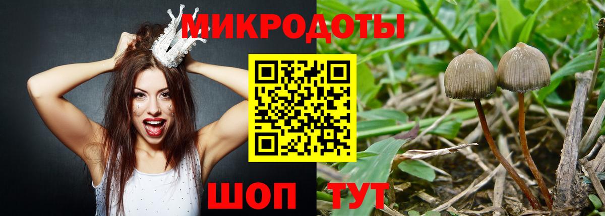 Галлюциногенные грибы Cubensis  Вход с VPN  Дмитров  Псилоцибиновые грибы мицелий 